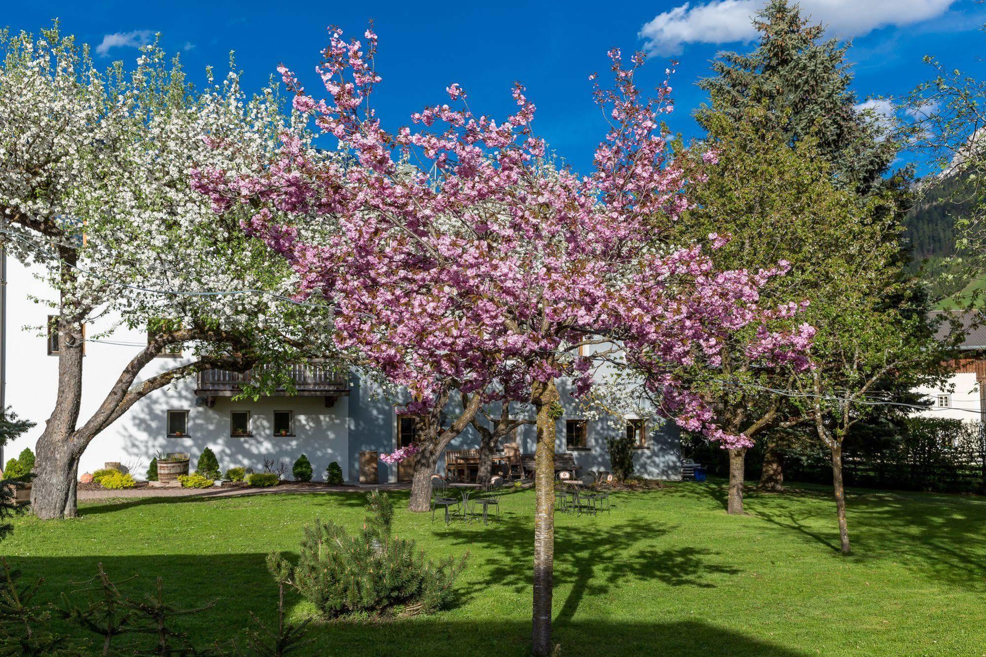 Residence Mitterdorfer Abfaltersbach Esterno foto